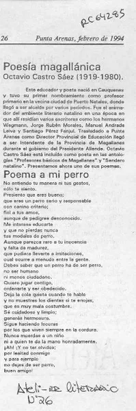 Poesía magallánica  [artículo].