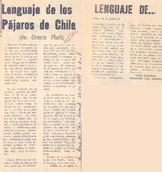 Lenguaje de los pájaros de Chile  [artículo] Juan Antonio Massone del Campo.