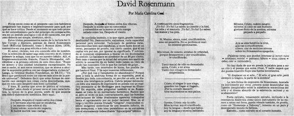 David Rosenmann  [artículo] María Carolina Geel.