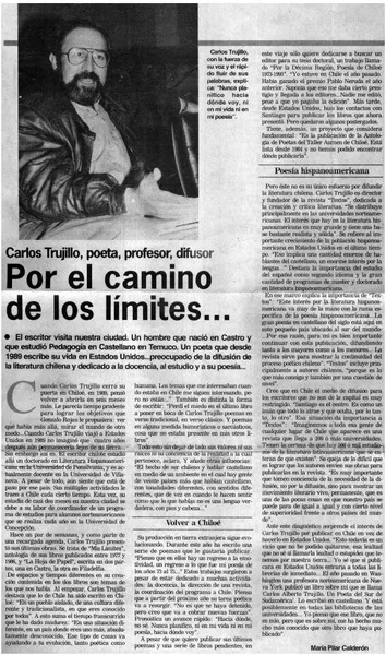 Por el camino de los límites  [artículo] María Pilar Calderón.