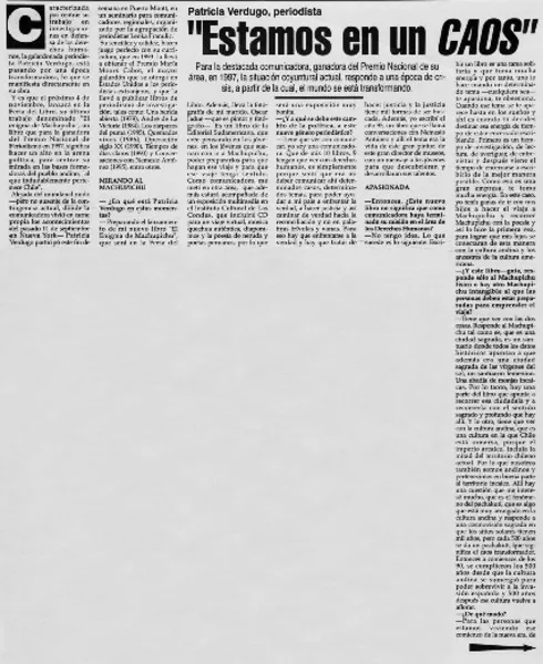 "Estamos en un caos" [entrevistas] [artículo] : Leandro Fontealba Schwerter.