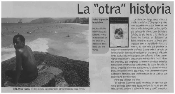 La "otra" historia de Brasil.  [artículo]