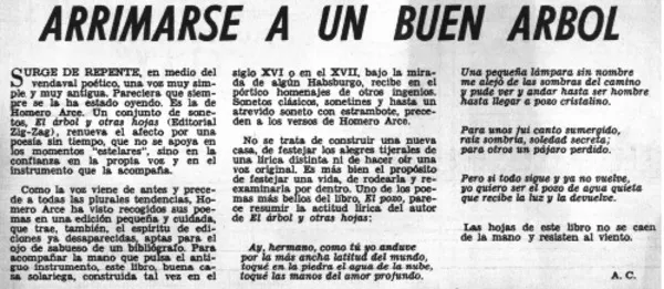 Animarse a un buen árbol  [artículo] A.C.