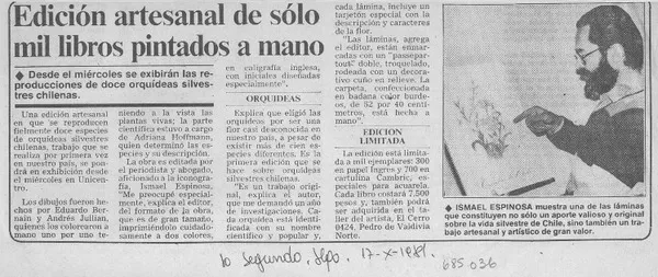 Edición artesanal de sólo mil libros pintados a mano.  [artículo].