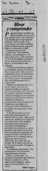 Mirar y comprender  [artículo] Delia Vergara.