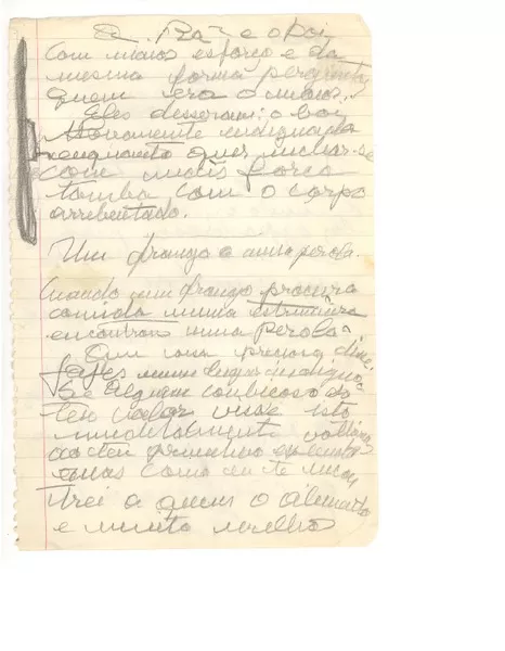 A raza o boi  [manuscrito] Juan Miguel Godoy (Yin Yin).