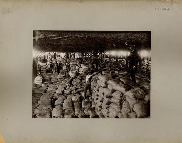[Obreros almacenando sacos de salitre en una bodega]  [fotografía].