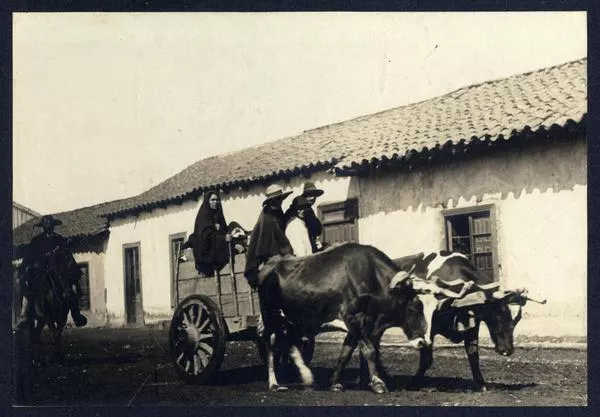 [Carreta tirada por bueyes]  [fotografía]
