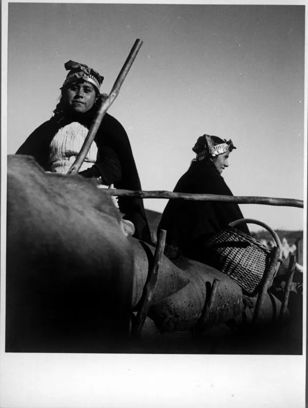 [Dos mujeres mapuches transportan sacos en una carreta]  [fotografía] Jorge Opazo Galindo