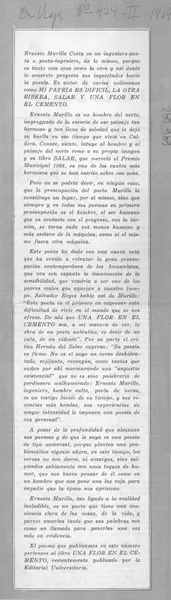 Mi patria es dificil, la otra ribera, salar y una flor en el cemento  [artículo].