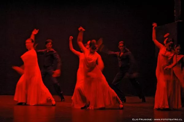 Flamenco  [fotografía] Elio Frugone Piña.