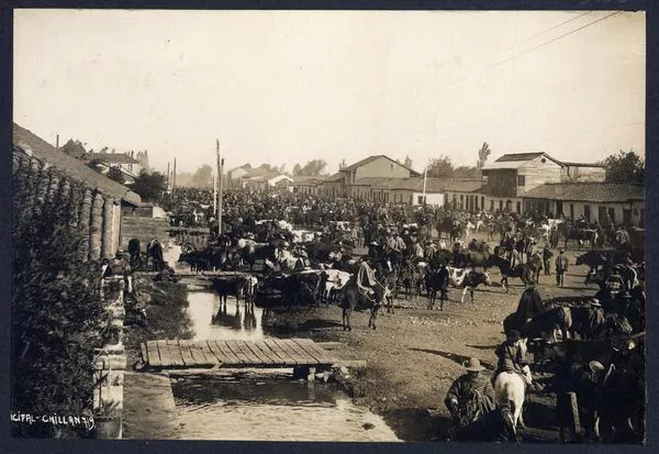 [Mercado Municipal de Chillán]  [fotografía]