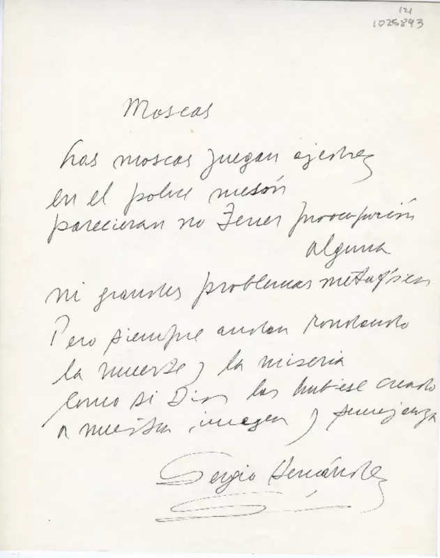 Moscas  [manuscrito] Sergio Hernández.
