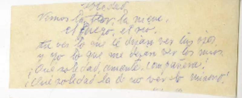 [Notas]  [manuscrito] Juan Guzmán Cruchaga.