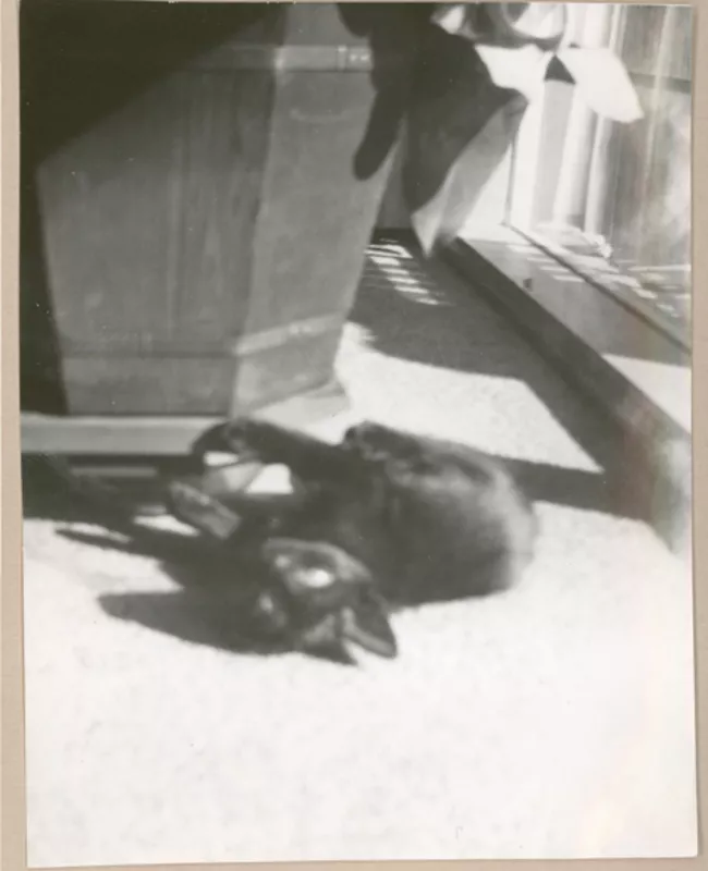 [Casa de Gabriela Mistral en Nueva York]  [fotografía].