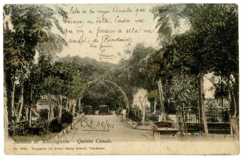 Saludos de Antofagasta - Quinta Casale  [fotografía] Carlos Brandt.