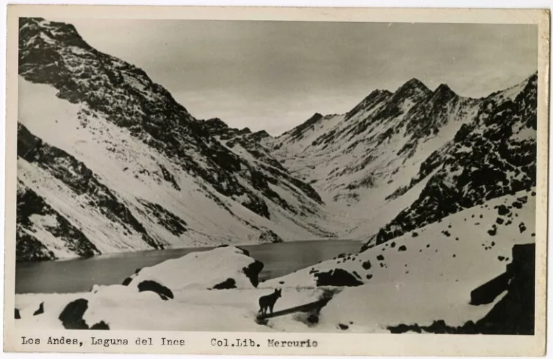 Los Andes, Laguna del Inca : Vista de los Nevados "Tres Hermanos". [fotografía] Col. Lib. Mercurio.