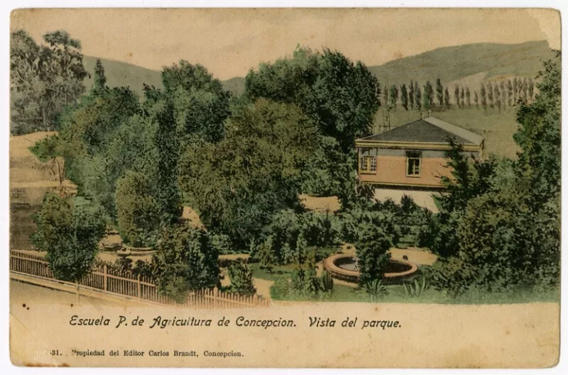 Escuela P. de Agricultura de Concepcion. Vista del Parque  [fotografía] Carlos Brandt.