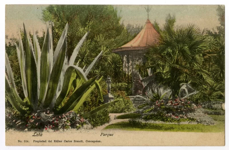 Lota - Parque  [fotografía] Carlos Brandt.