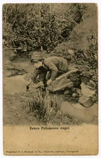 Estero Pellameneo Angol  [fotografía] C. Kirsinger & Cia.