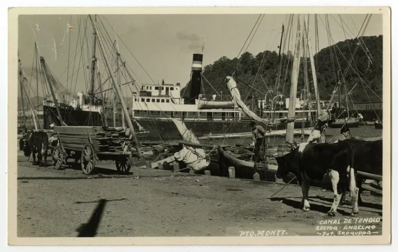 Pto. Montt. Canal de Tenglo, Sector Angelmo  [fotografía] Fot. Skoruppa.
