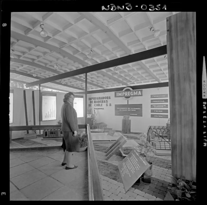 Impregma, Impregnadora de Maderas de Chile S.A.  [fotografía] Antonio Quintana.