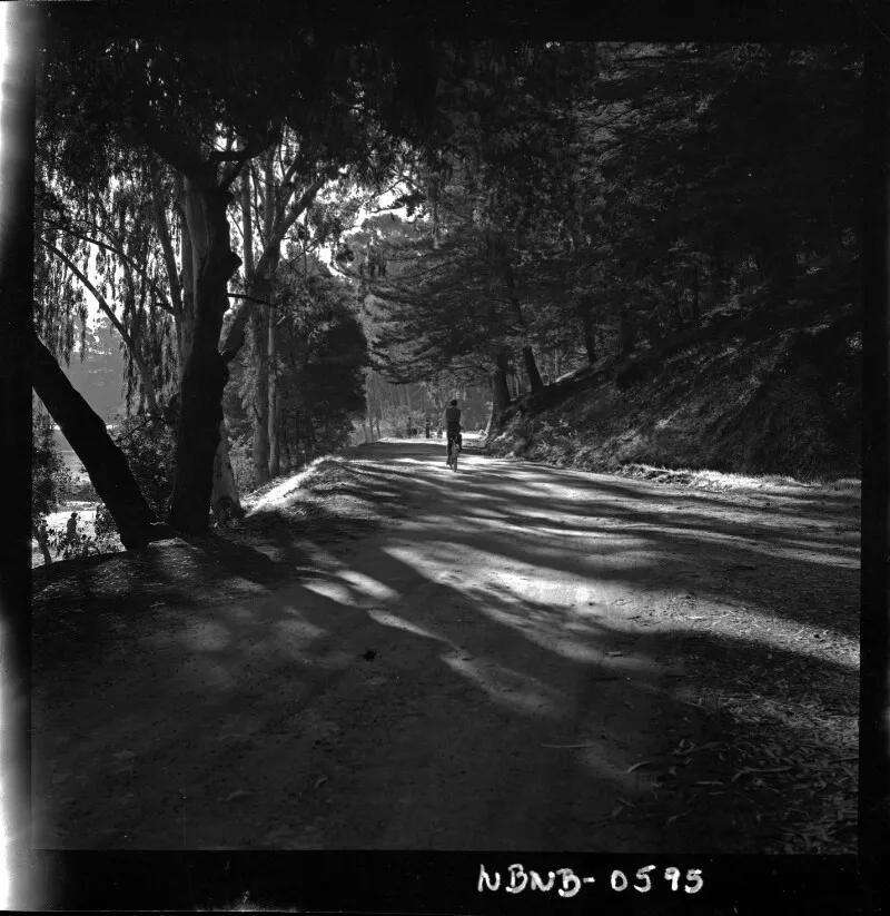 [Hombre andando en bicicleta en camino de tierra]  [fotografía] Antonio Quintana.