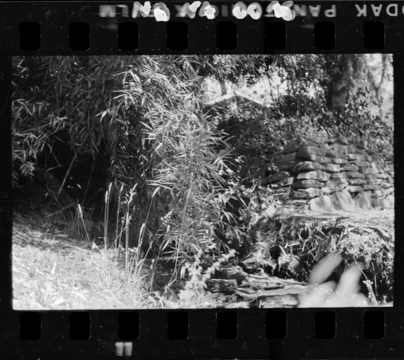 [Fotografías de un terreno]  [fotografía] Antonio Quintana.