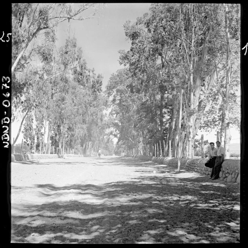 [Dos personas en ambientes rurales]  [fotografía] Antonio Quintana.