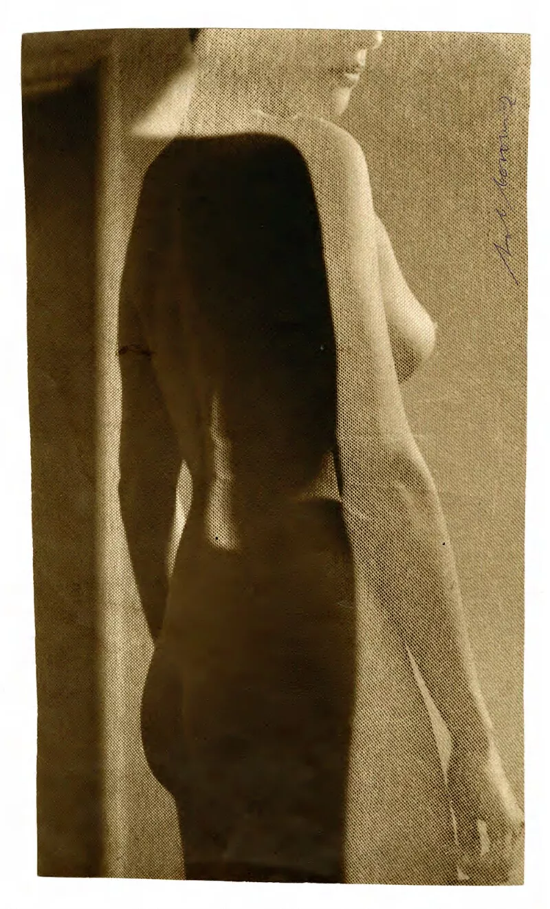 ["Desnudo"] Detrás del Tul, Medalla de oro, Museo de Arte Contemporáneo, Baltimore, USA  [fotografía] Bob Borowicz.