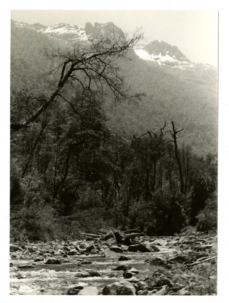 Río sureño  [fotografía] Bob Borowicz.