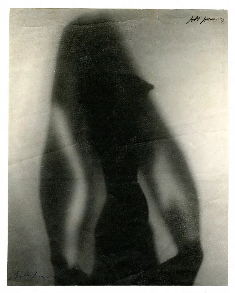 [Desnudo cercano a la abstracción] "trasluz"  [fotografía] Bob Borowicz.