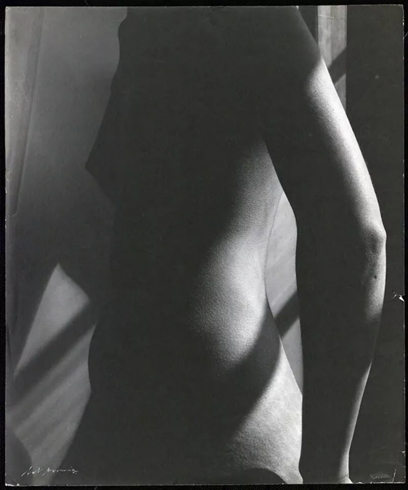 [Desnudo femenino] El Torso 3  [fotografía] Bob Borowicz.