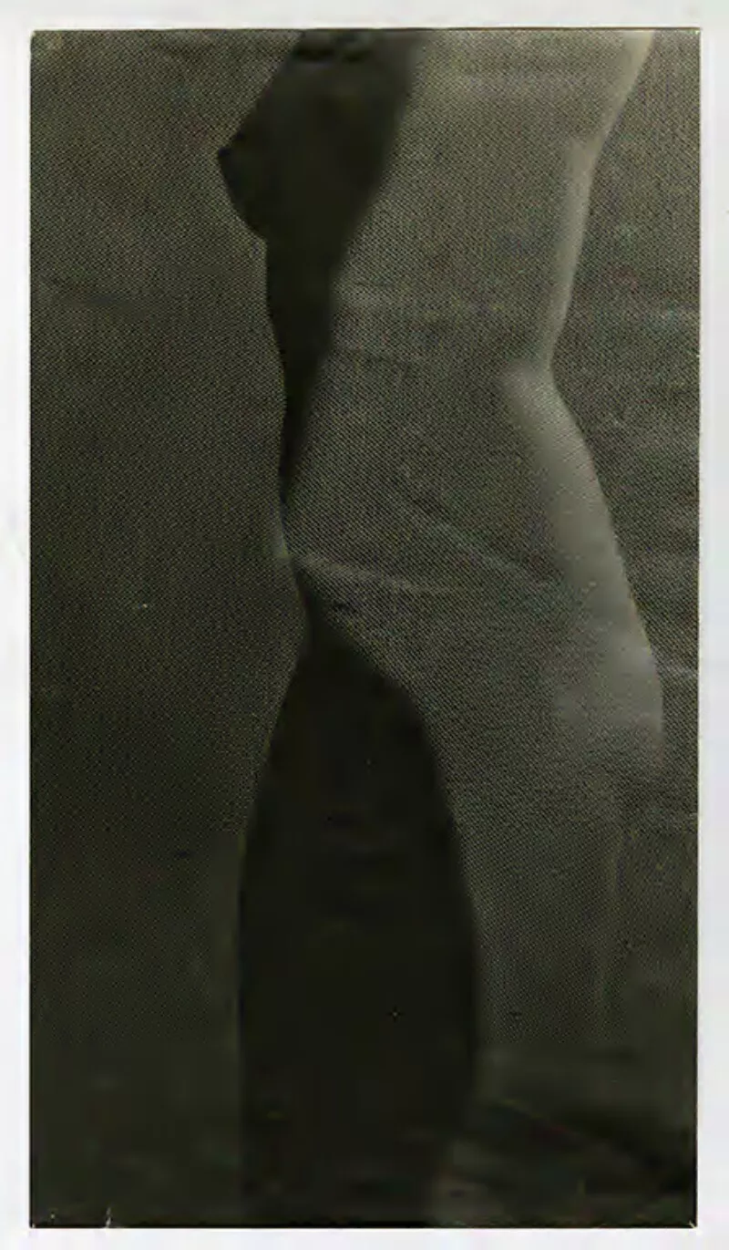 Desnudo otoñal  [fotografía] Bob Borowicz.