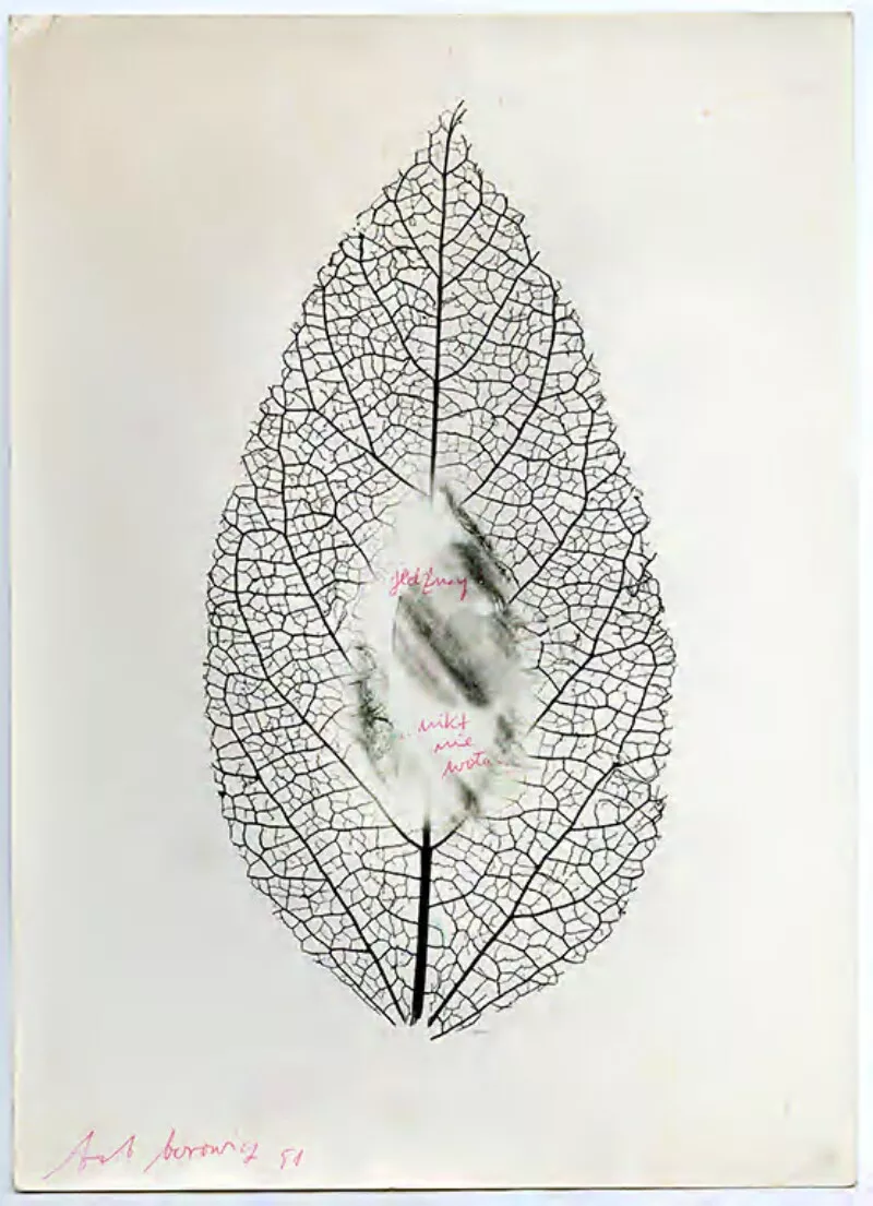 [Composición fotográfica de doble exposición: Ojo humano dispuesto en forma horizontal, inserto en el centro de una hoja de árbol vertical]  [fotografía] Bob Borowicz.