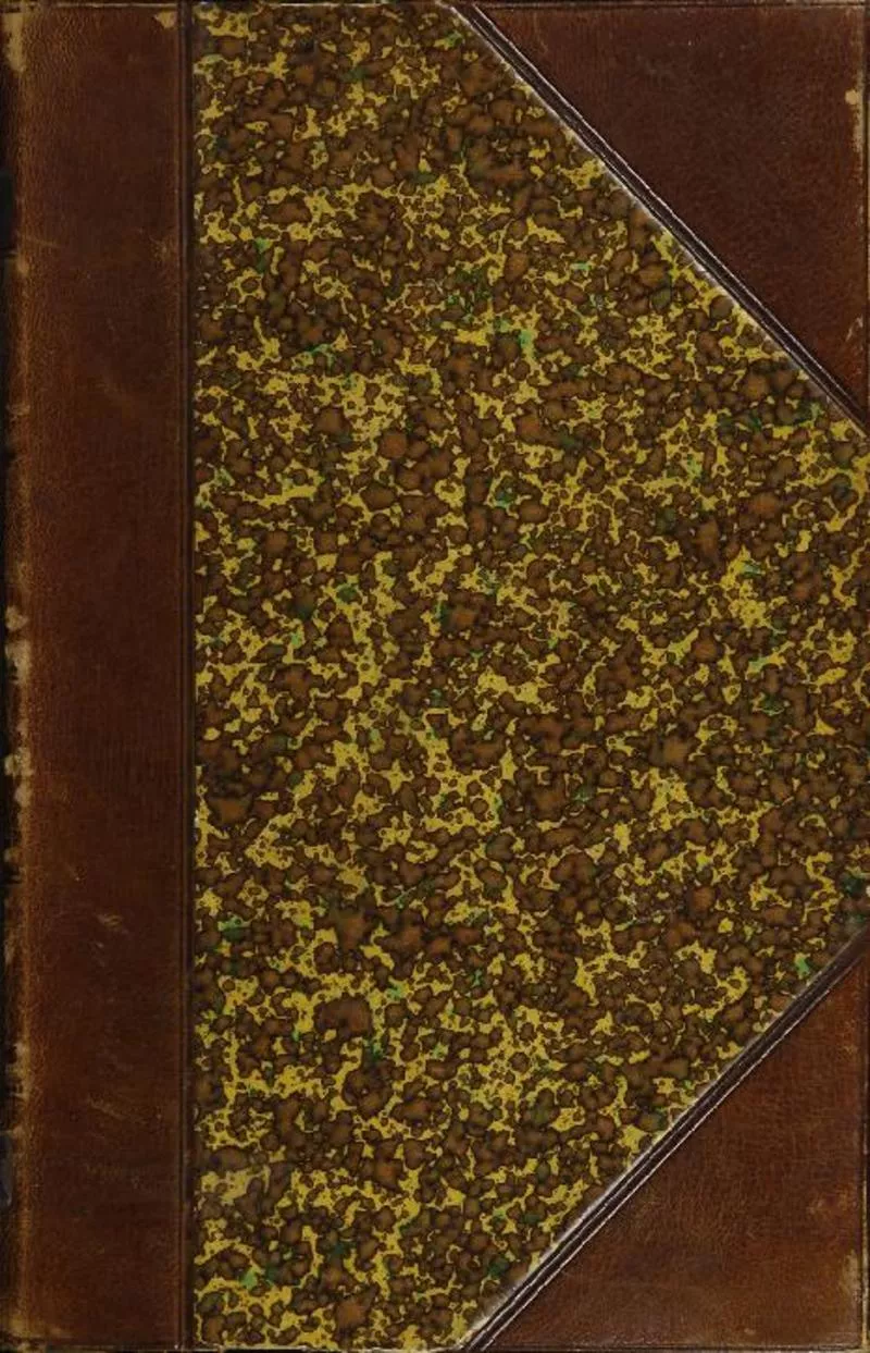 La primitiva Inquisición americana : (1493-1569) estudio histórico por J. T. Medina.