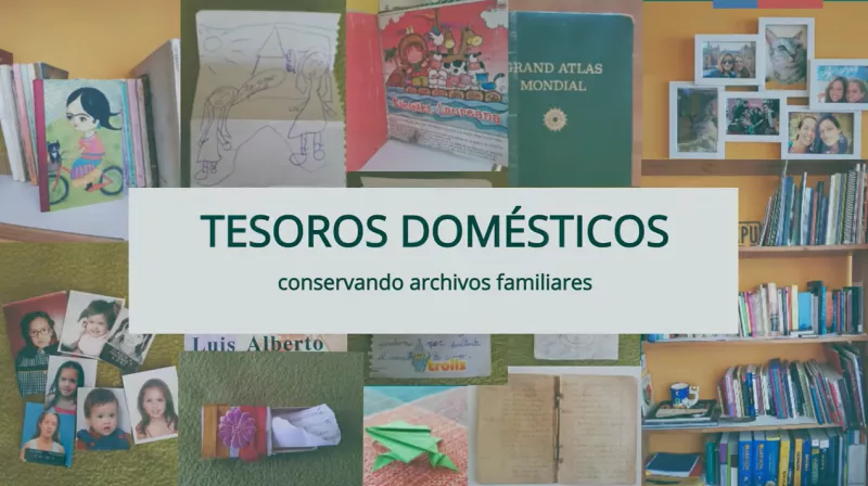 Tesoros domésticos No. 5: carpeta de cuatro aletas para libro