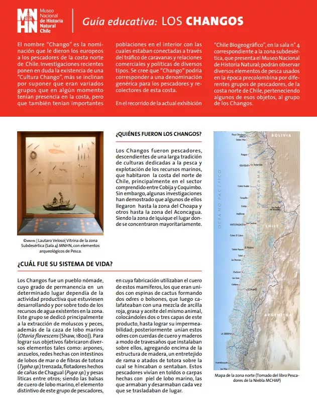 Guía educativa: los changos