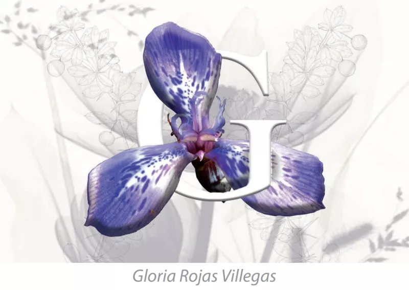 Gloria Rojas Villegas