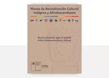 Reconocimiento legal al pueblo tribal afrodescendiente chileno