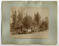 Sociedad Nacional de Agricultura en el siglo XIX