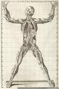 Profesionalización de la medicina en Chile (1750-1930)