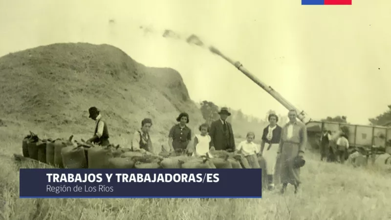 Región de Los Ríos: Trabajos y trabajadores/as