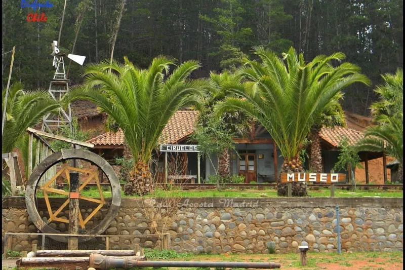 MUSEO DE NIÑO RURAL