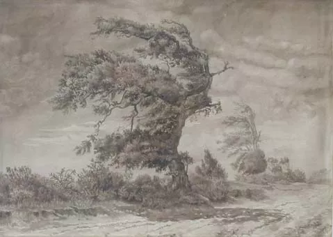 Un Vencido (un árbol)