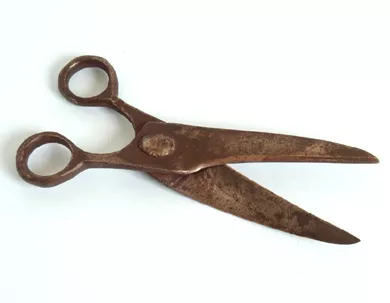 Tijera de esquilar