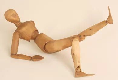 Modelo de estudio anatómico