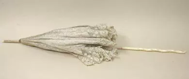 Sombrilla