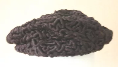 Sombrero