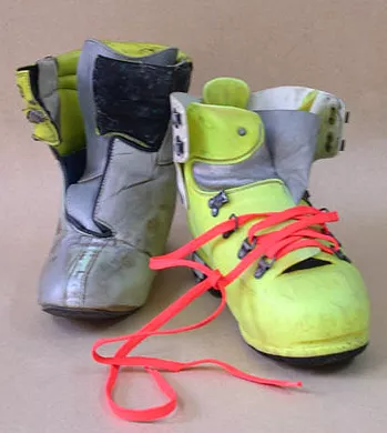 Bota